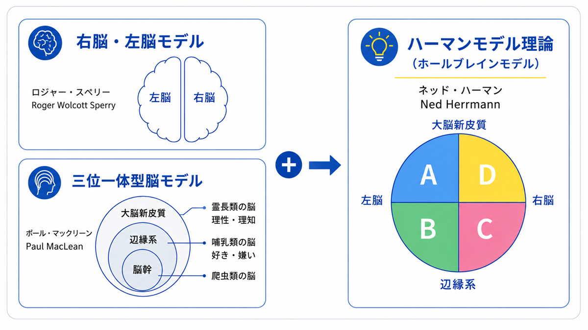 ハーマンモデル理論